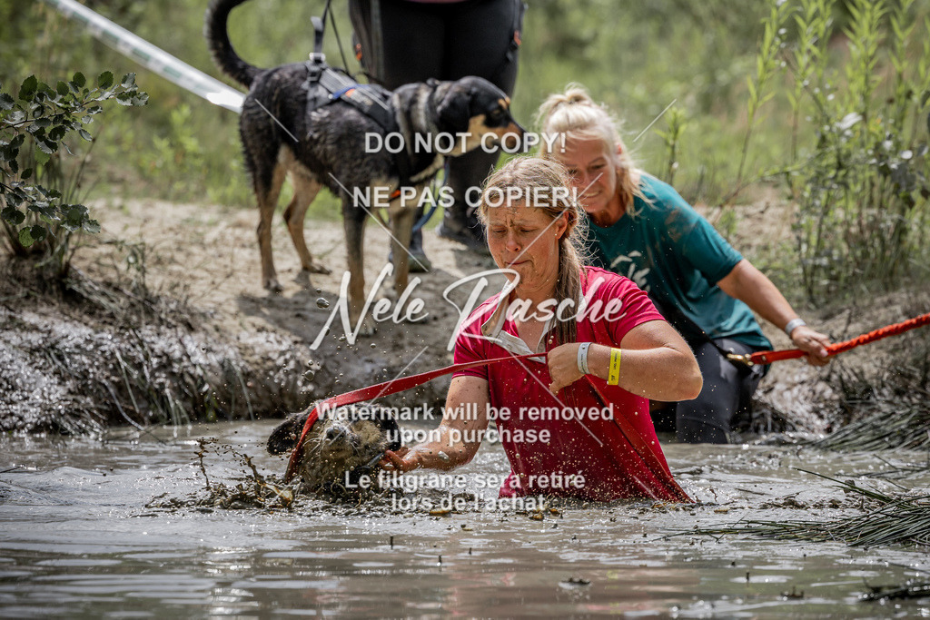 nelerasche_so1230-1300_247 | nelerasche