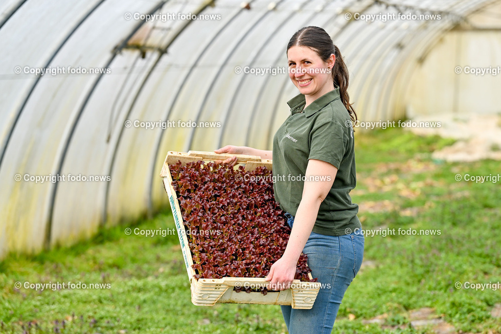 Biohof Berner_ Pupping_ 28.02.2023-18 | 28.02.2023, Pupping, AUT, Biohof Berner, im Bild Alexandra Palmetshofer mit Lollorosso (Salat)