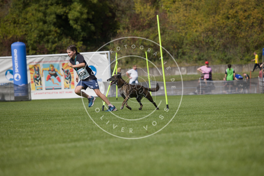 0L8A2853 | Hundefotografie, Tierfotograf, Pfotenfotografie, Fotoshooting Hund, Hunde Portrait, Hundesport, Hundeportraits, Heideshooting, Hunde, Sportfotograf, Hundefotograf, Turnierhundsport, THS,  - Realisiert mit Pictrs.com
