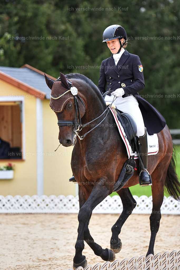 11-215-Dressur S___-Marixx-1746 | working equitationturnier fotograf videograf stoibphotography marixx film working equitation deutschland reitsport turnierfotografie eventfotografie equestrian events