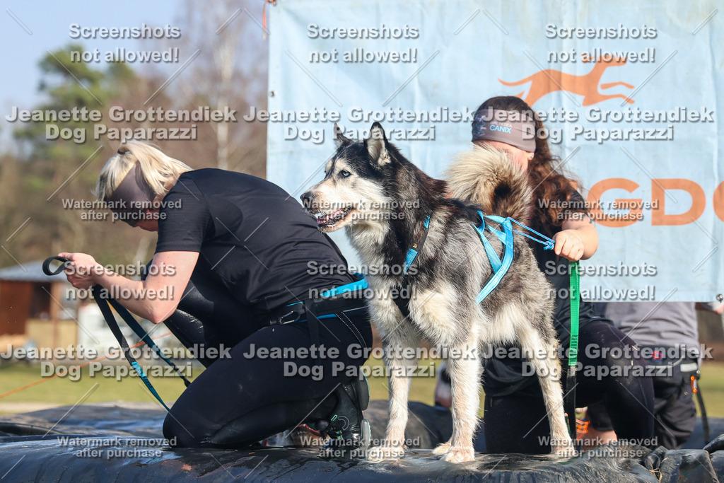 Dog Paparazzi - Strongdog North Mrz26-3109 | Dog Paparazzi Jeanette Grottendiek Fotografie & Videografie - Realisiert mit Pictrs.com