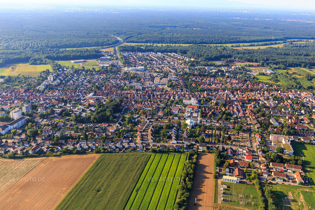 Luftbild: Stadtansicht aus Norden in Kandel im Bundesland Rheinland-Pfalz in Deutschland. Foto: IMG_109638.jpg vom 31.07.2018 durch Werner Riehm/FLY-FOTO.de