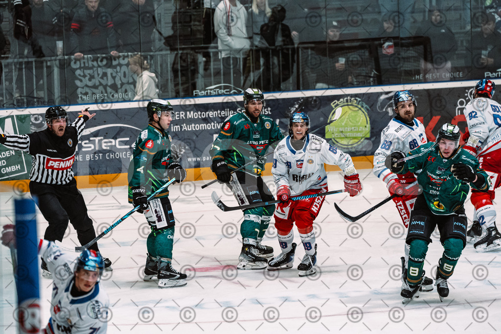 Alligators_vs_Selb_13_09_2026-21 | Die Fotogalerie von Daddel: professionelle Bilder von Sport, Events und Unternehmen aus Franken. Jetzt Galerien durchstöbern und Lieblingsfotos bestellen. - Realisiert mit Pictrs.com