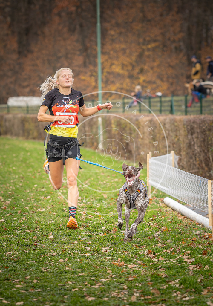 CaniXpix_DV3A6226 | Hundefotografie, Tierfotograf, Pfotenfotografie, Fotoshooting Hund, Hunde Portrait, Hundesport, Hundeportraits, Heideshooting, Hunde, Sportfotograf, Hundefotograf, Turnierhundsport, THS,  - Realisiert mit Pictrs.com
