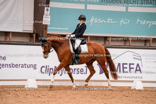 Kranichstein Tag 1-213 | dv-media-shop - Realized with Pictrs.com