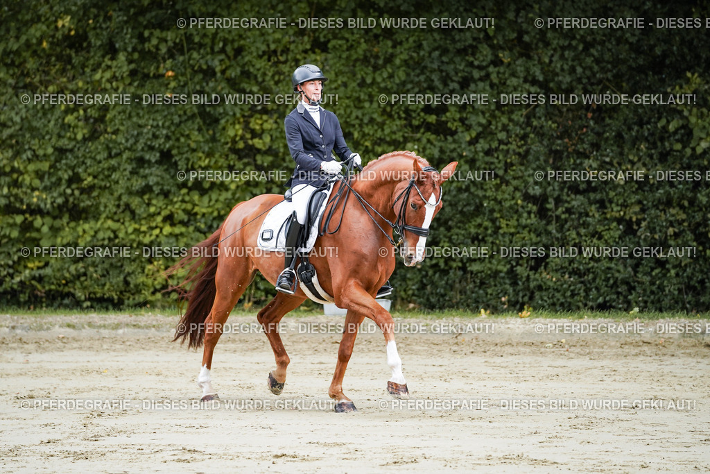 DSC08080 | Pferdegrafie