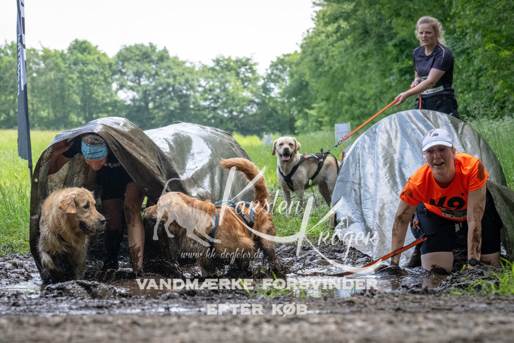 1145_ZZ94350 | kk-dogfotos
