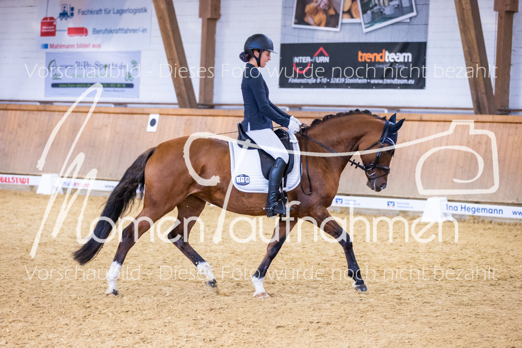 Sth-A-Dre-1St-291 | MomenTaufnahmen Pferdesportfotos