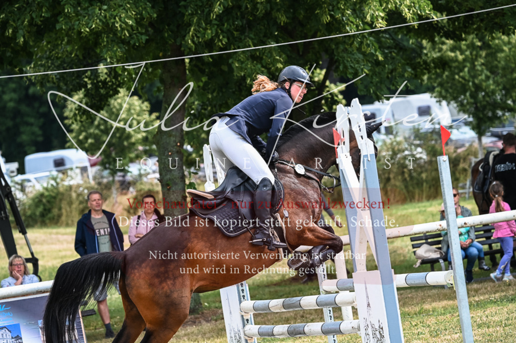 DSC_8251 | Pferde- und Turnierfotografie in Westsachsen. Pferdeportraits, Auftragszeichnungen und intuitive Kunst.