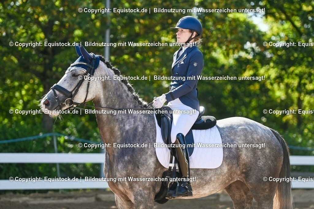 20230715_06_Dressurpferdeprfg. Kl.A_0295 | equistock