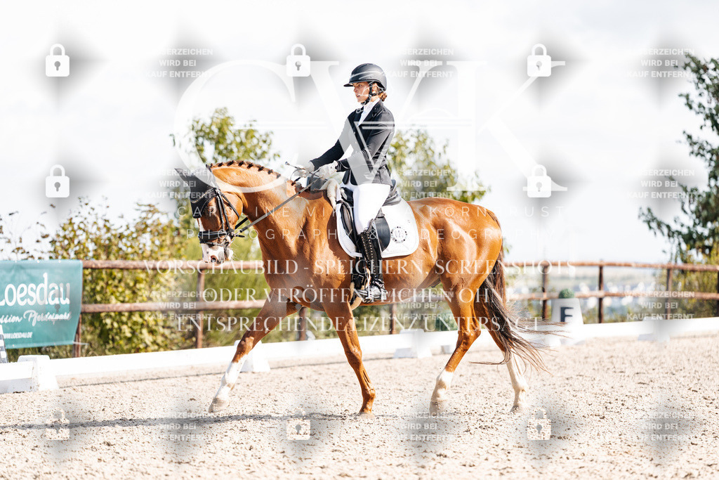 CK902200 | Turnierfotografie Pferdefotografie Trier Rheinland-Pfalz Pferdesport Reitsport Tierfotografie Sportfotografie Pferdevideo Pferdevideografie Equestrianvideography equestrianphotography  - Realisiert mit Pictrs.com