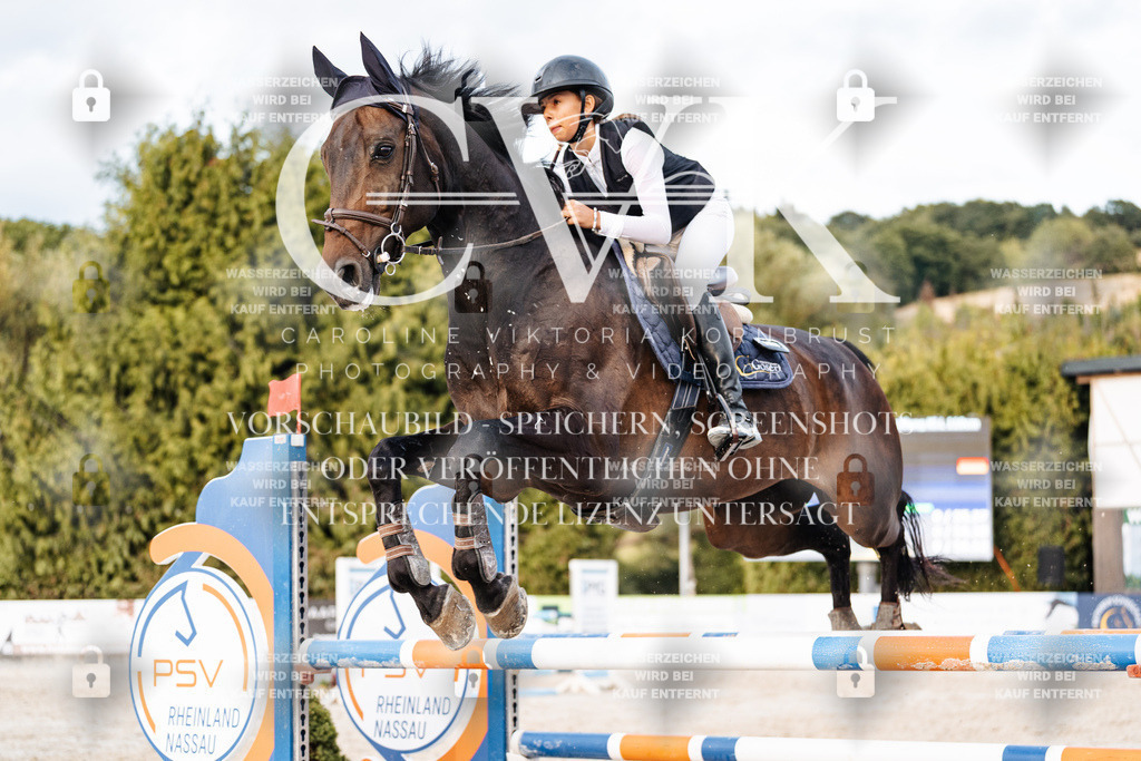 CK903976 | Turnierfotografie Pferdefotografie Trier Rheinland-Pfalz Pferdesport Reitsport Tierfotografie Sportfotografie Pferdevideo Pferdevideografie Equestrianvideography equestrianphotography  - Realisiert mit Pictrs.com