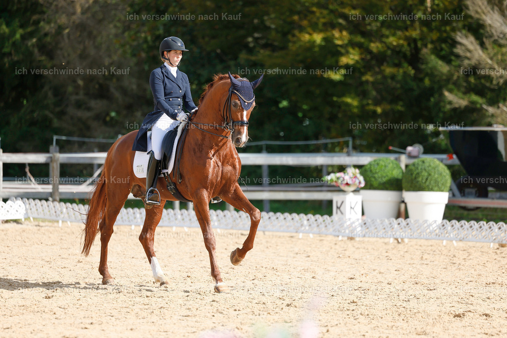 09_2-223-DRESSUR  S_  -StoibPH-5787 | working equitationturnier fotograf videograf stoibphotography marixx film working equitation deutschland reitsport turnierfotografie eventfotografie equestrian events