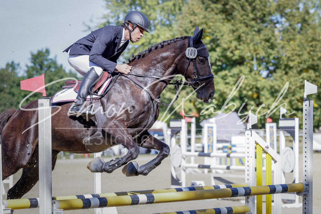 20250906-_3LI3764 | Tierfotografie Pferde, Hunde, Katzen, Haustiere.
Turnierfotografie Reitturniere, Reiten, Springreiten, Dressur in Hanau, dem Main-Kinzig-Kreis und dem Rhein-Main- Gebiet um Frankfurt