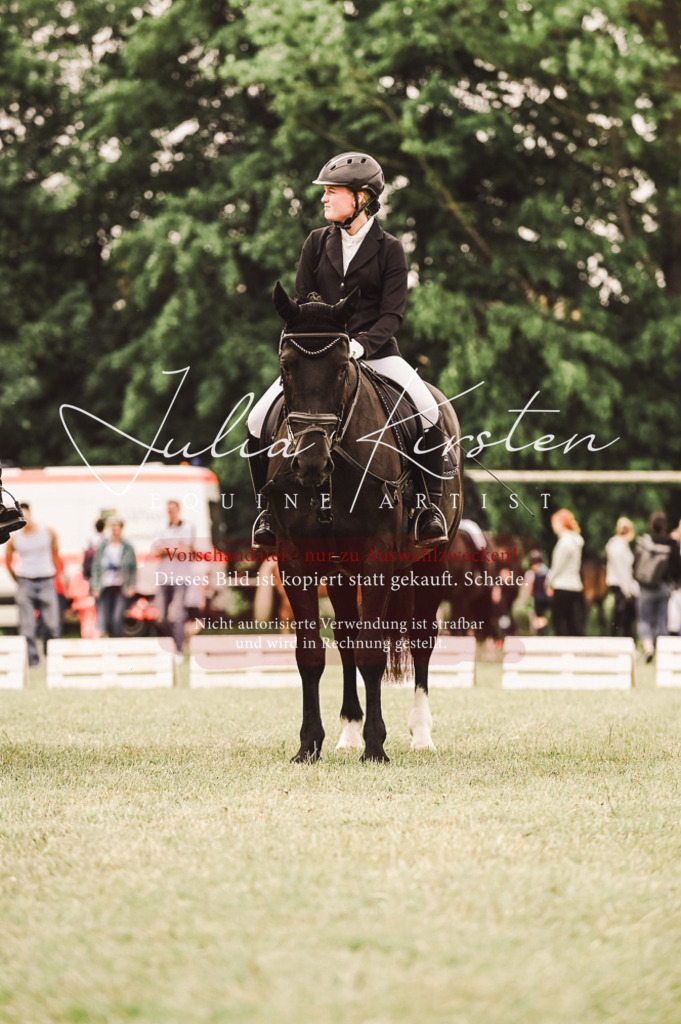 DSC_5150 | Pferde- und Turnierfotografie in Westsachsen. Pferdeportraits, Auftragszeichnungen und intuitive Kunst.
