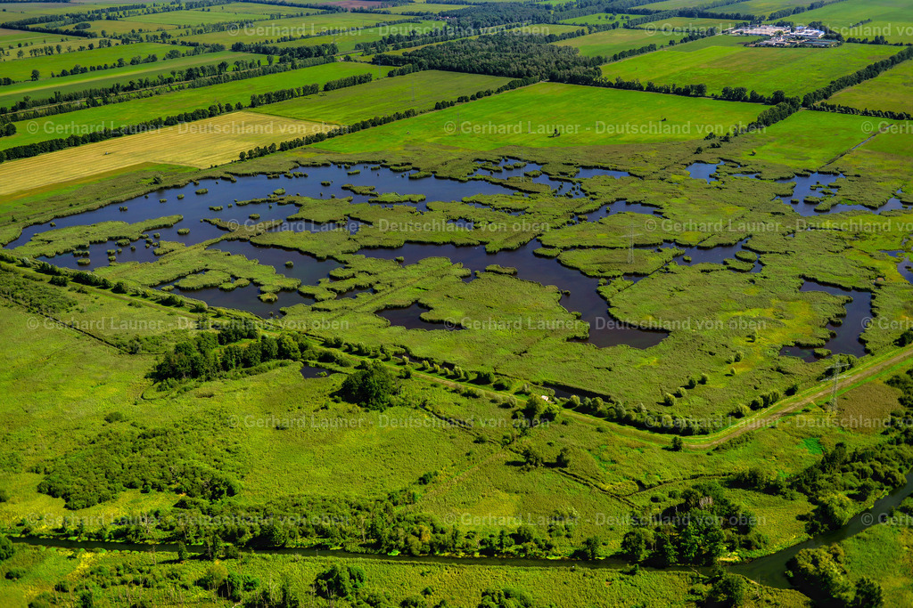 3637363 | Spreewald Unesco-Biosphärenreservat, LüBBEN (SPREEWALD) 25.08.2016 Feuchtgebiet bei Lübben (Spreewald) im Bundesland Brandenburg. // Wet area near Luebben (Spreewald) in the state Brandenburg. Foto: Gerhard Launer