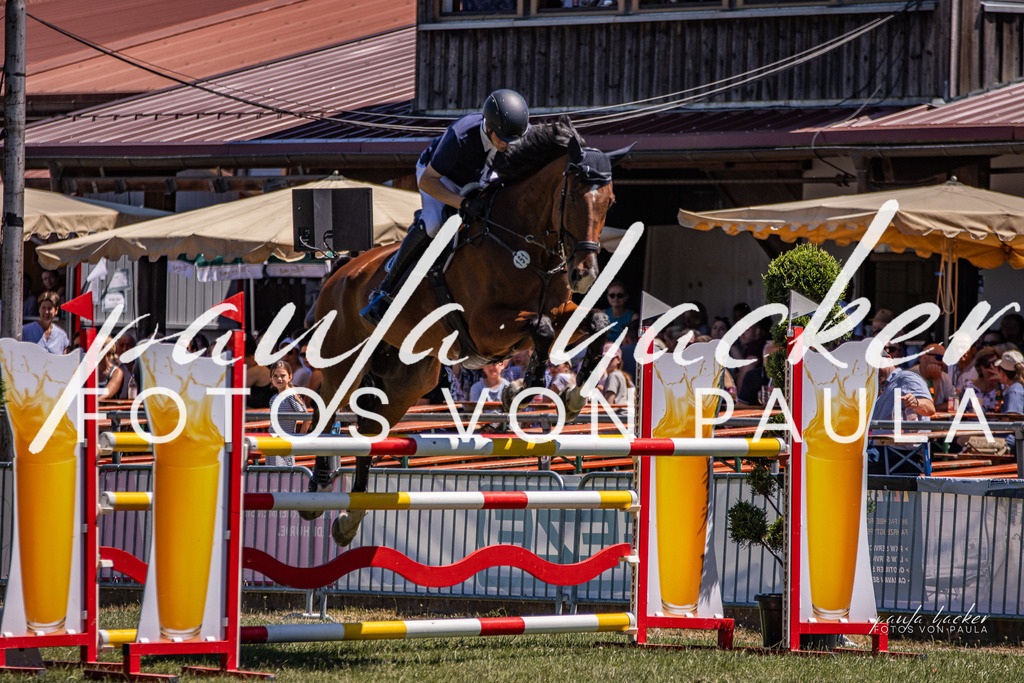 IMG_0524 | Erleben Sie dynamische Sport- und emotionale Tierfotografie in Süddeutschland mit Fotos von Paula. Spezialisiert auf Pferde- und Hundefotografie sowie Sportevents. Kontaktieren Sie mich für einzigartige und ausdrucksstarke Bilder Ihrer besonderen Momente. - Realisiert mit Pictrs.com