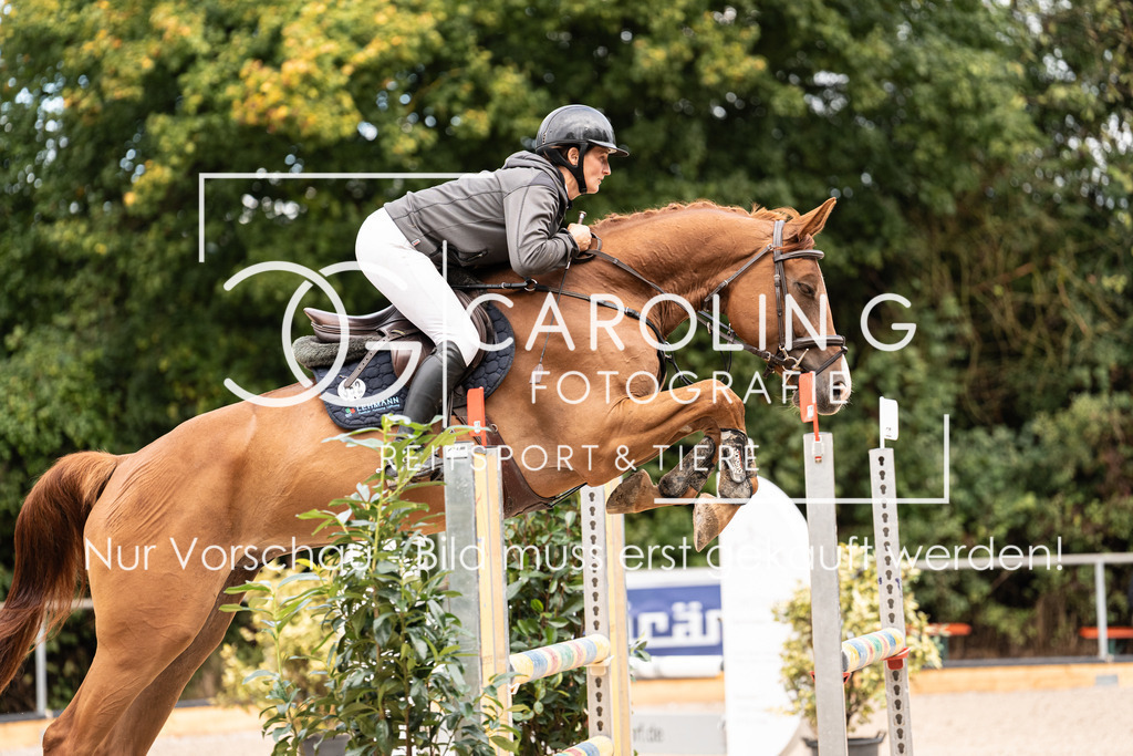 DSC03406 | Carolin Gieschke