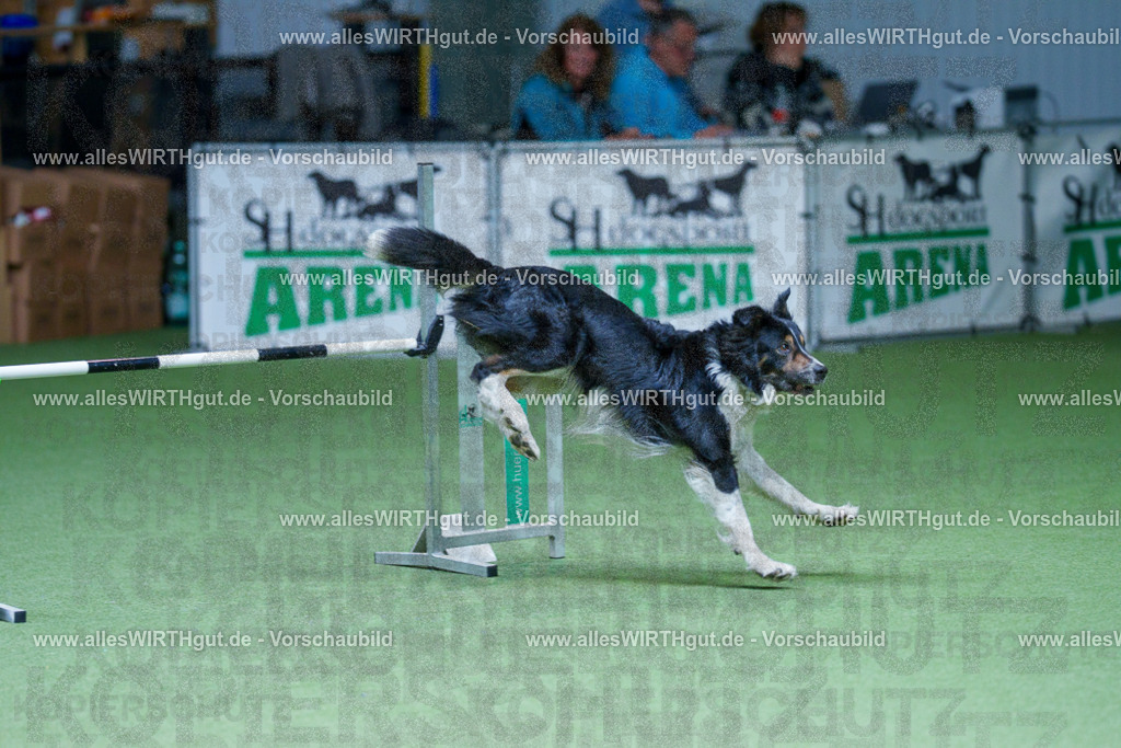 @allesWIRTHgut_Tierfotografie - www.allesWIRTHgut.de - 2604251205-7R500825 | Professionelle Tierfotografie in Mönchengladbach von Daniel Wirth (allesWIRTHgut). Liebevolle & natürliche Bilder von Hunden & Katzen für unvergessliche Erinnerungen.