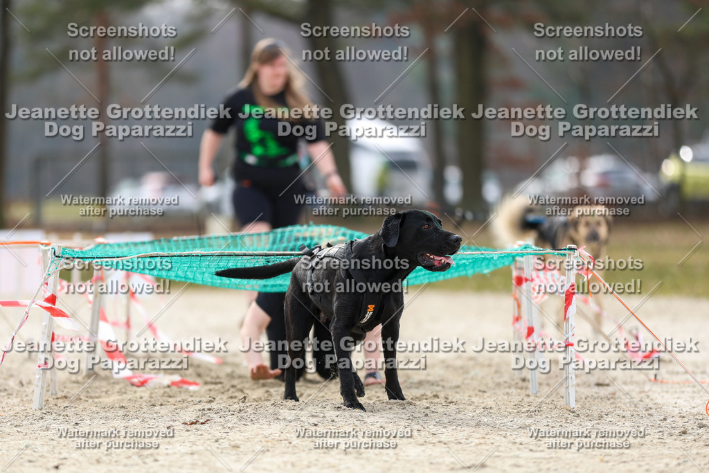 Dog Paparazzi - Strongdog North Mrz26-5769 | Dog Paparazzi Jeanette Grottendiek Fotografie & Videografie - Realisiert mit Pictrs.com