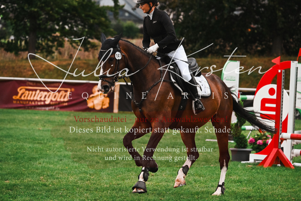 DSC_6142 | Pferde- und Turnierfotografie in Westsachsen. Pferdeportraits, Auftragszeichnungen und intuitive Kunst.
