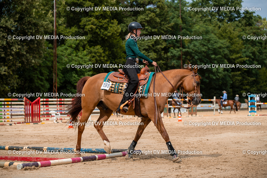 ZS2_8511 | dv-media-shop - Realisiert mit Pictrs.com