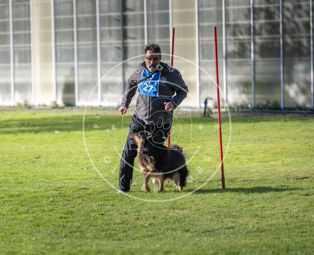 Pfotenfotografie.de_DV3A3275 | Hundefotografie, Tierfotograf, Pfotenfotografie, Fotoshooting Hund, Hunde Portrait, Hundesport, Hundeportraits, Heideshooting, Hunde, Sportfotograf, Hundefotograf, Turnierhundsport, THS, canicross - Realisiert mit Pictrs.com