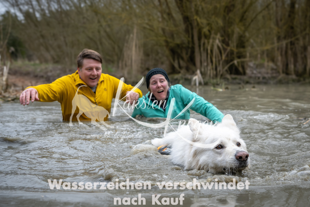 1418_ZZ98269 | kk-dogfotos