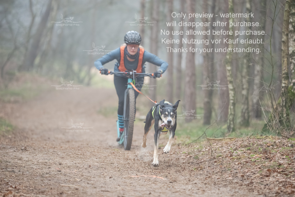 Scooter1-96 | stephaniefillaphotographie - Realisiert mit Pictrs.com