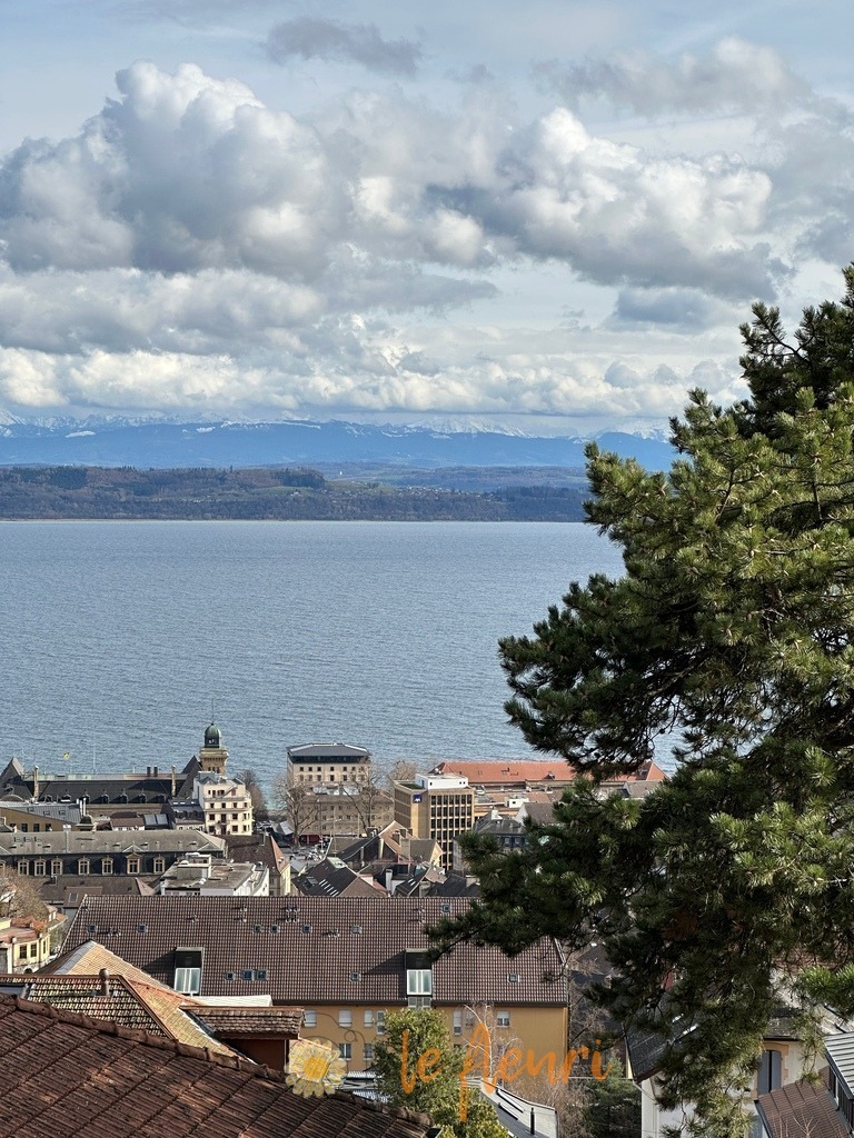 80064BCE-5F35-4816-801D-D2B1B0179056 | Dies ist der Shop von Florian Blum - le fleuri. Langenthal, Bern, SchweizSie können hier meine oder ihre eigenen Fotos als Fotoprodukte kaufen. Tassen, Schlüsselanhänger, Taschen etc. können Sie hier gestalten.  - Realisiert mit Pictrs.com