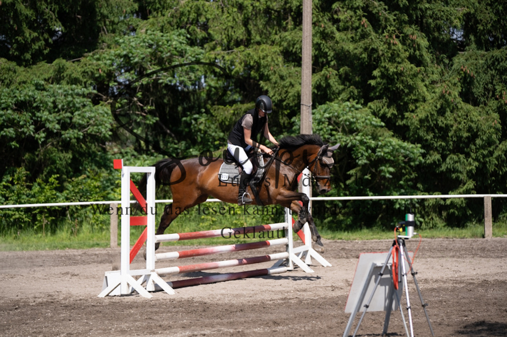 A7V03362 | Pferdefotograf