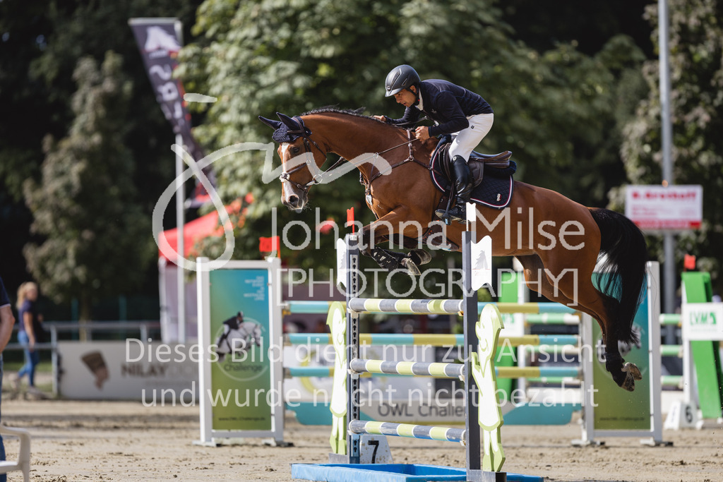 230826_Delbrueck_Youngster-M-514 | Deine schönsten Turniermomente als professionelle Fotos! Entdecke hochwertige Pferdesport-Fotografie im Online-Shop. Jetzt Fotos finden & bestellen!