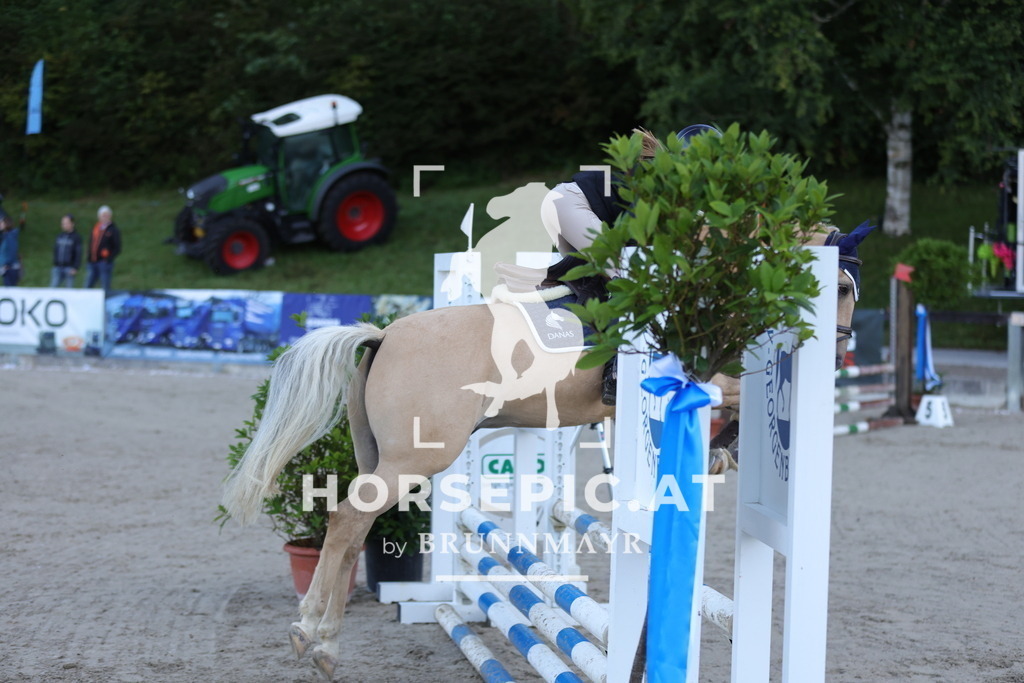 0P6A4085 | Willkommen bei Brunnmayr - Design & Fotografie – Ihrem Spezialisten für Reitturniere und Pferdeveranstaltungen in Oberösterreich, Salzburg und Bayern! Seit über 17 Jahren sind wir leidenschaftlich dabei.