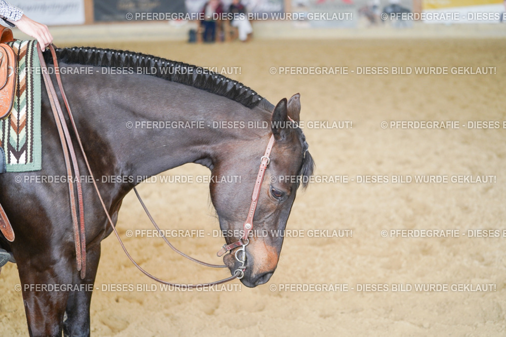 DSC02214 | Pferdegrafie