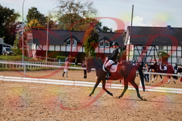 2026_10_03_Siefer-Hof_131021_Z63_72699525 | Professionelle Reitsport-, Turnier- und Eventfotografie von Robert Broda. Galerien mit ausgewählten und bearbeiteten Bildern direkt online ansehen und bestellen.
