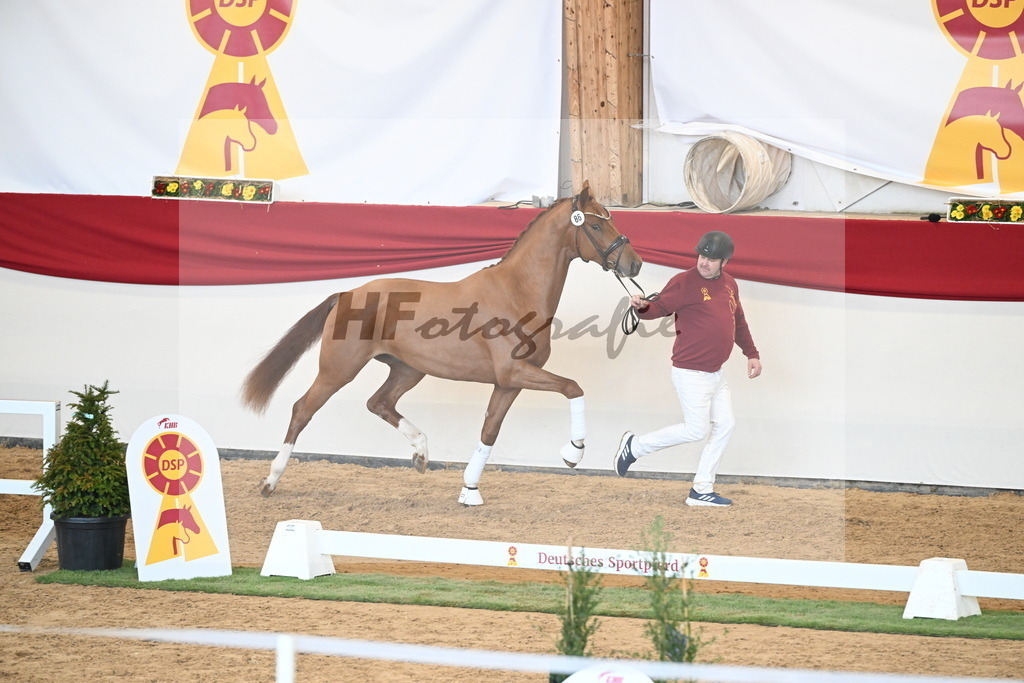 Kat.-Nr. 86 v. Vitalis_Bachinger_2250854 | hf-fotografie - Realisiert mit Pictrs.com