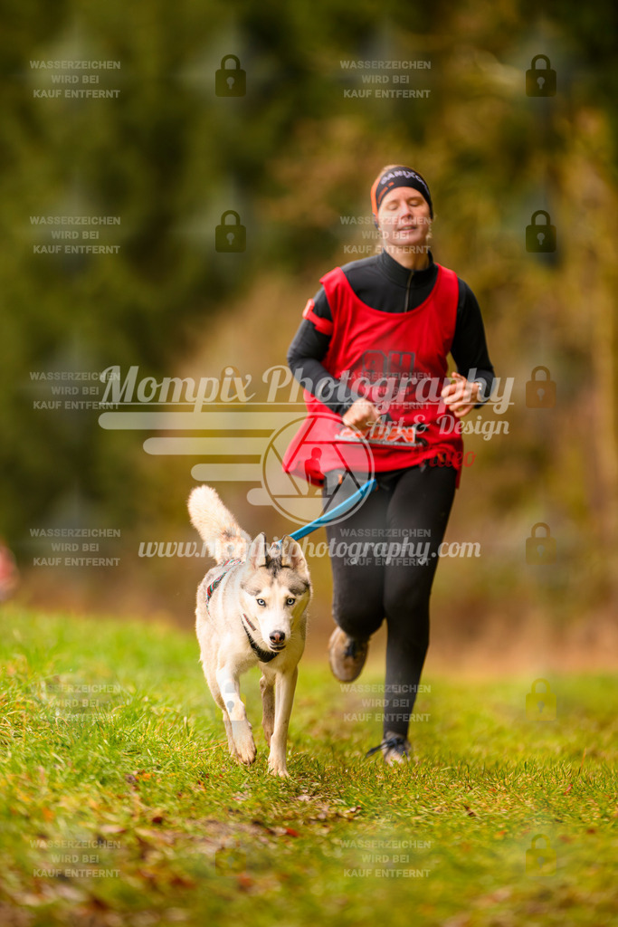 MompixPhotography_2SSTSSBW_2025_SO_Canicross-23 | PayLife