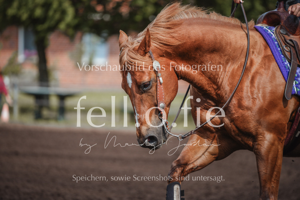 fell.o.fie_mandyjordan_2024_06_08677 | Mandy Klecke Fellfotografie, fell.o.fie Fotografenshop - Realisiert mit Pictrs.com