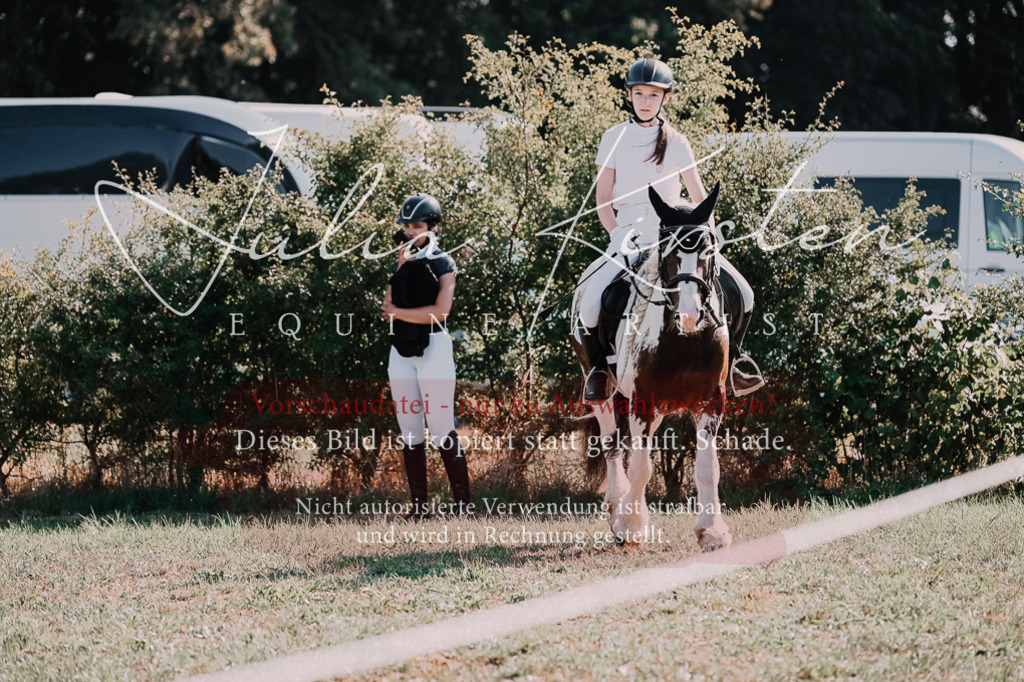 DSC_4965 | Pferde- und Turnierfotografie in Westsachsen. Pferdeportraits, Auftragszeichnungen und intuitive Kunst.