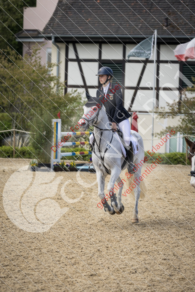 CON_0568 | Sport-, Event- und Tierfotos in Profiqualität. Einfach auswählen, bestellen und herunterladen. Dein Moment – perfekt festgehalten.