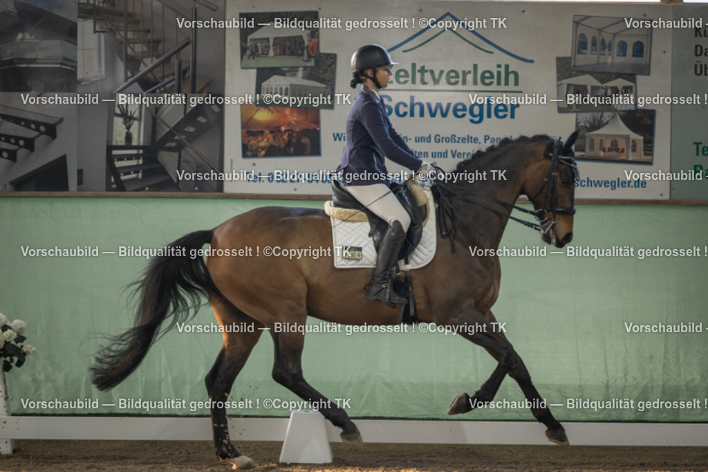 _D5A3936 | Emotionale Pferde- & People-Fotografie rund um Heidelberg, Leimen & Umgebung. Natürliche Fotos von Pferd, Mensch & Familie. Jetzt Termin sichern!