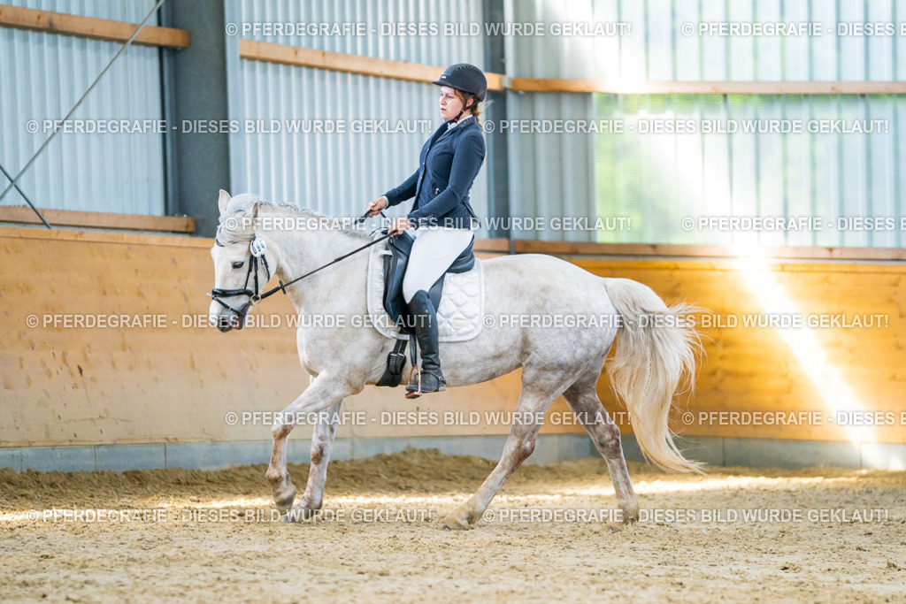 DSC07011 | Pferdegrafie