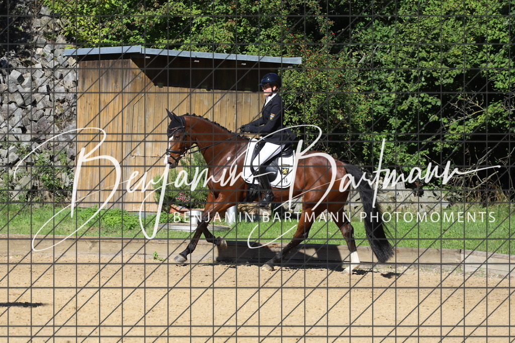 IMG_5431 | Benjamin Bartmann Photomoments