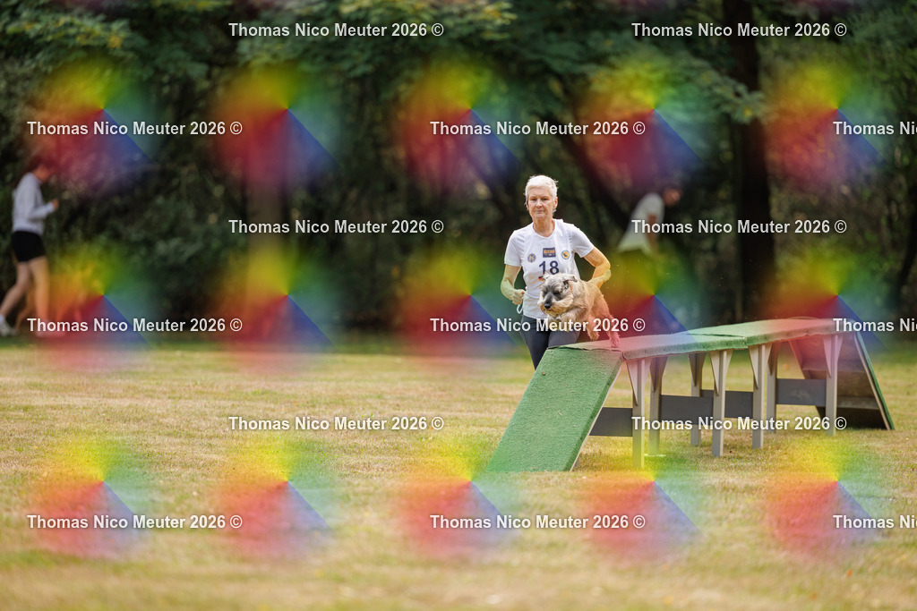 Thomas_Nico_Meuter(C)_22. August 2026_223A4879 | Bild von Thomas Nico Meuter - Realisiert mit Pictrs.com