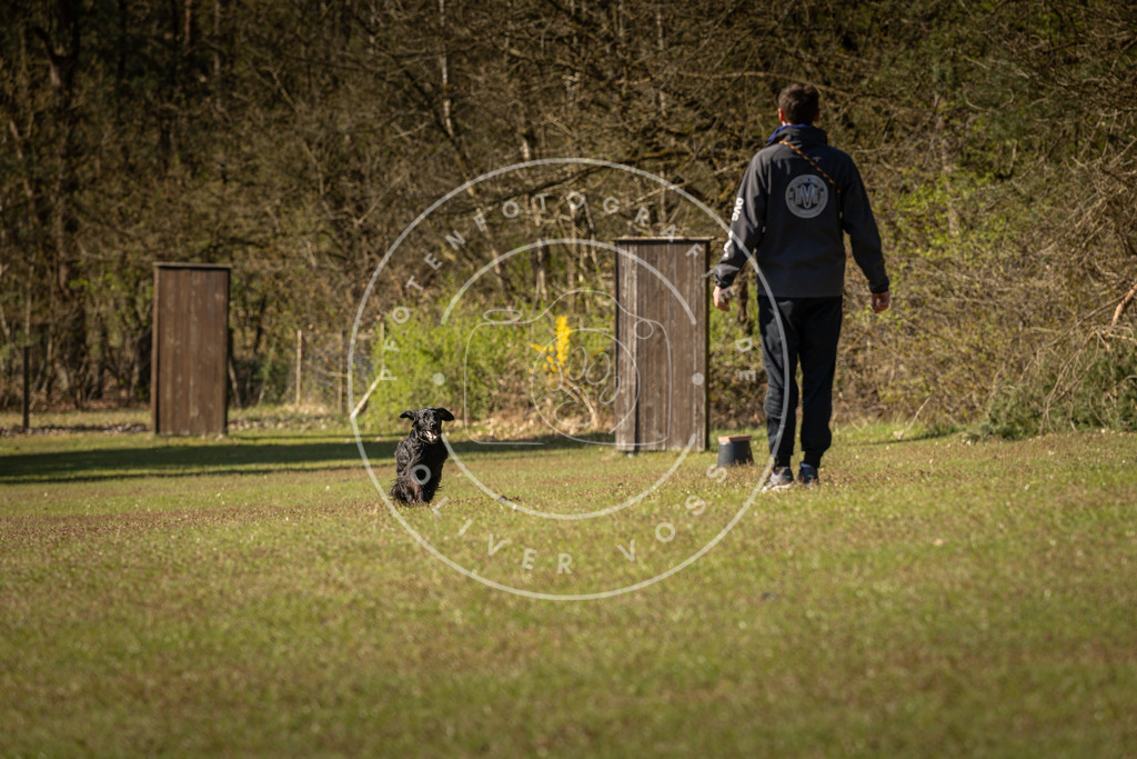 Pfotenfotografie_DV3A0206 | Hundefotografie, Tierfotograf, Pfotenfotografie, Fotoshooting Hund, Hunde Portrait, Hundesport, Hundeportraits, Heideshooting, Hunde, Sportfotograf, Hundefotograf, Turnierhundsport, THS,  - Realisiert mit Pictrs.com