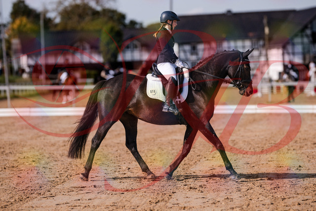 2026_10_03_Siefer-Hof_121426_Z81_16553796 | Professionelle Reitsport-, Turnier- und Eventfotografie von Robert Broda. Galerien mit ausgewählten und bearbeiteten Bildern direkt online ansehen und bestellen.