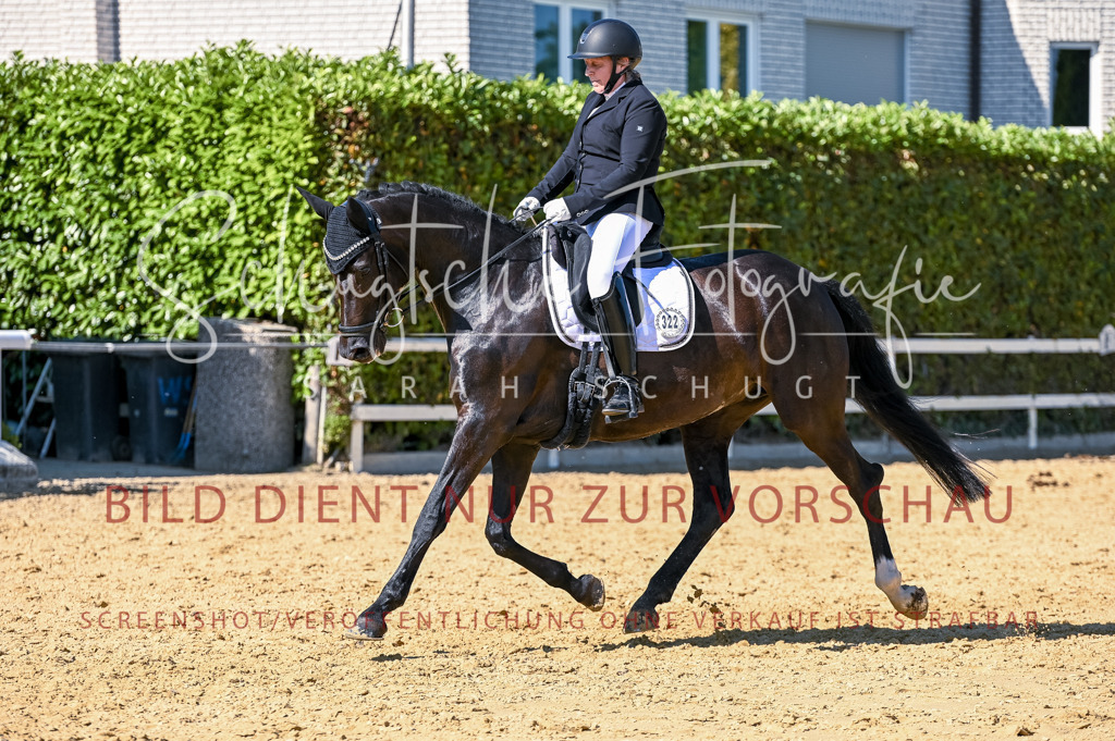 Schugtsche-Aluta25-50.Dressurpferdeprf.L-196 | Schugtsche Fotografie - Realisiert mit Pictrs.com