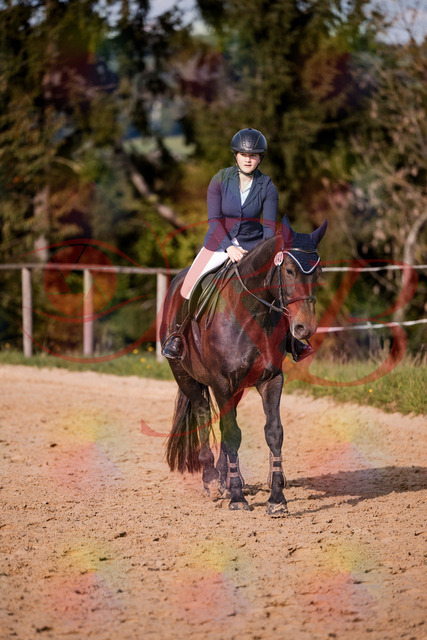 2026_10_03_Siefer-Hof_160151_Z81_83012367 | Professionelle Reitsport-, Turnier- und Eventfotografie von Robert Broda. Galerien mit ausgewählten und bearbeiteten Bildern direkt online ansehen und bestellen.