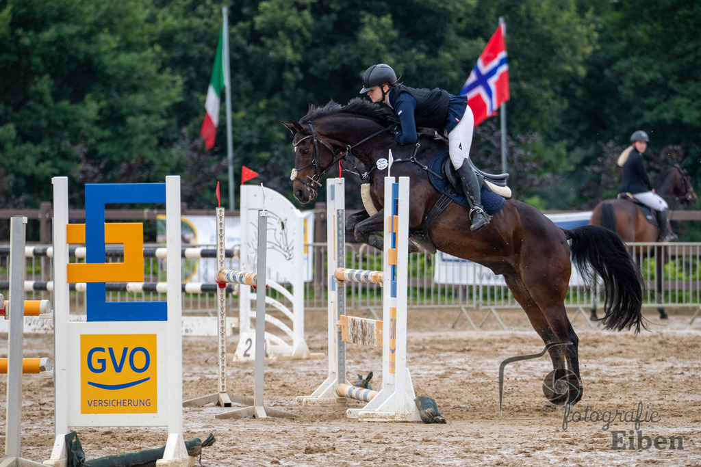 Springturnier Ammerländer Reitclub | Springturnier Ammerländer Reitclub (Punktespringprüfung KI.L 115cm am 30.06.2024; in Westerstede (Ammerländer Reitclub), Photo: Philip Eiben 2024 - Realisiert mit Pictrs.com
