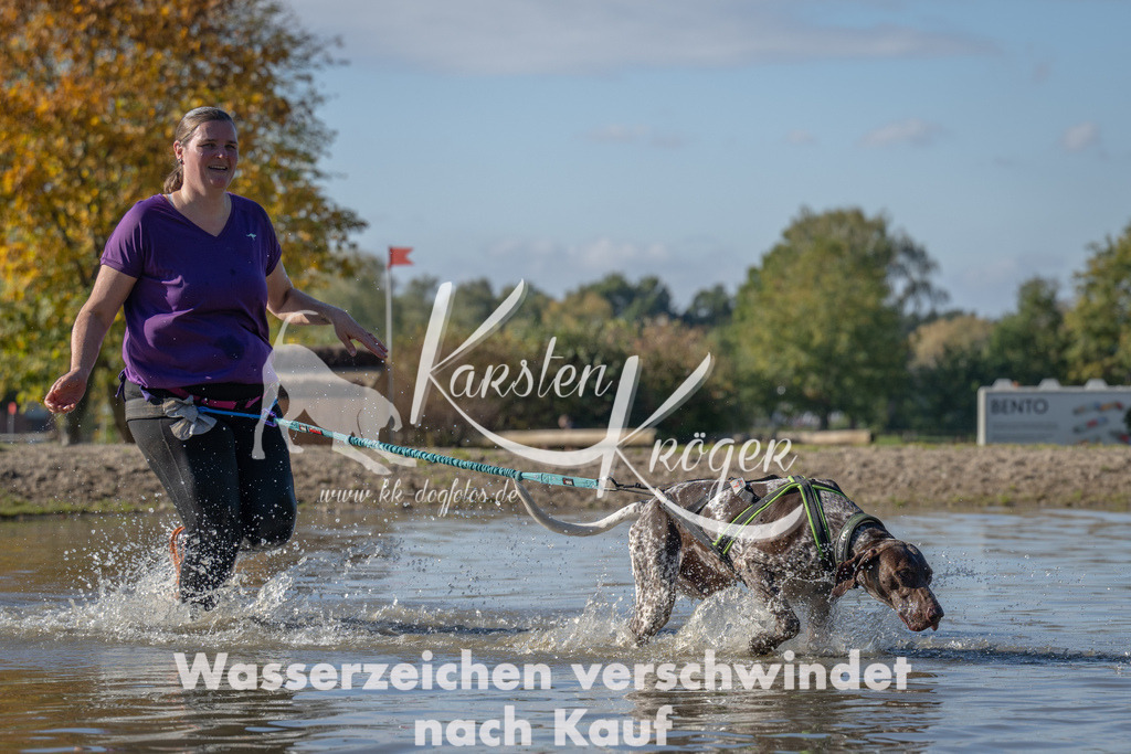 1333_ZZ90842 | kk-dogfotos